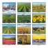Wall Calendar - Monthly - America's Bounty