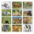 Wall Calendar - Monthly - Animal Babies