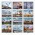 Wall Calendar - Monthly - David Maass