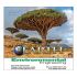 Wall Calendar - Monthly - Earth