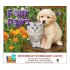 Wall Calendar - Monthly - Four Paws