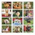 Wall Calendar - Monthly - Four Paws
