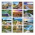 Wall Calendar - Monthly - Smart Living