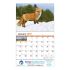 Wall Calendar - Monthly - Wildlife