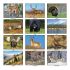 Wall Calendar - Monthly - Wildlife