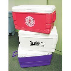 Igloo 48 Quart Ice Chest